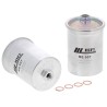 BE507 PETROL FILTER | RICO Europe