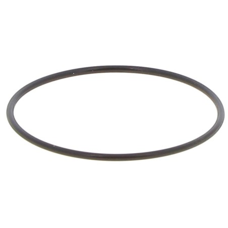 C4SFP260S GASKET | RICO Europe