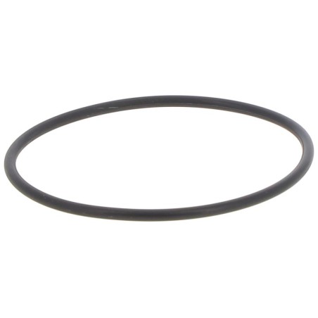 CUN39198010 GASKET | RICO Europe