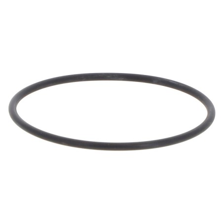 CUN39198025 GASKET | RICO Europe