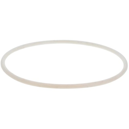CUN7000075451 GASKET | RICO Europe