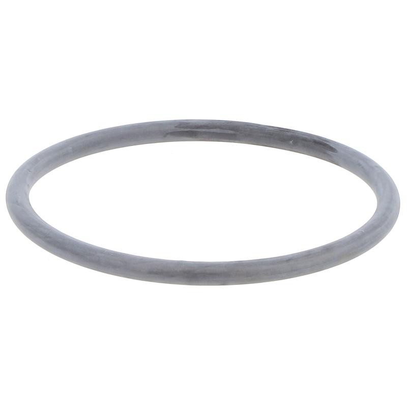 CUNFD000075222 GASKET | RICO Europe