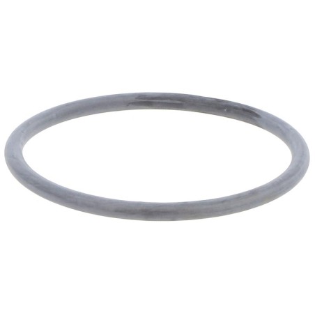 CUNFD000075222 GASKET | RICO Europe