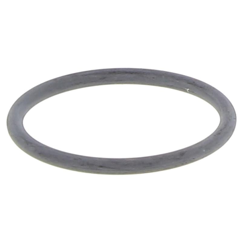 ENW32L-OR GASKET | RICO Europe