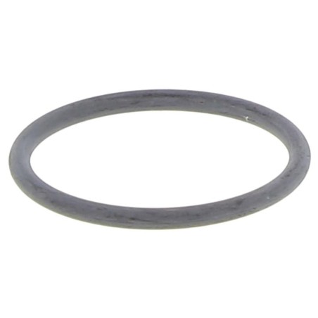ENW32L-OR GASKET | RICO Europe