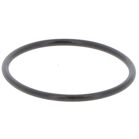 ENW650-OR GASKET | RICO Europe