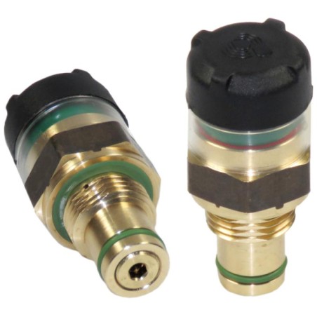 INP031405V CLOGGING INDICATOR | RICO Europe