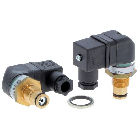 INP092302L CLOGGING INDICATOR | RICO Europe
