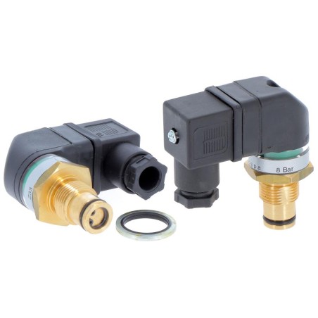 INP092306L CLOGGING INDICATOR | RICO Europe