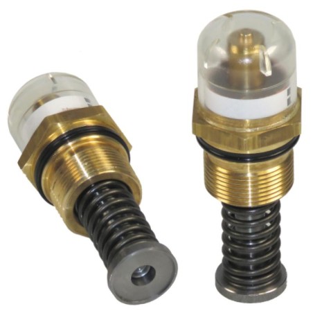 INP170201V CLOGGING INDICATOR | RICO Europe