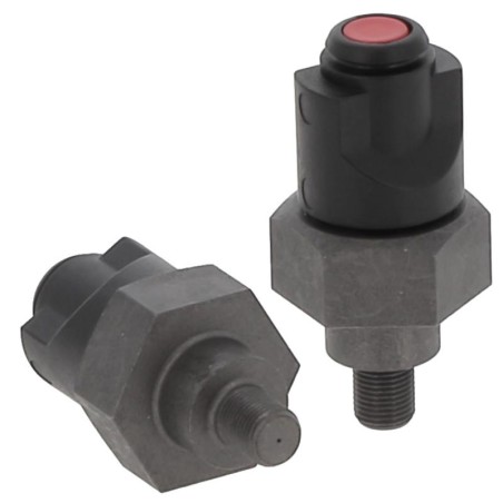 INR030842V CLOGGING INDICATOR | RICO Europe