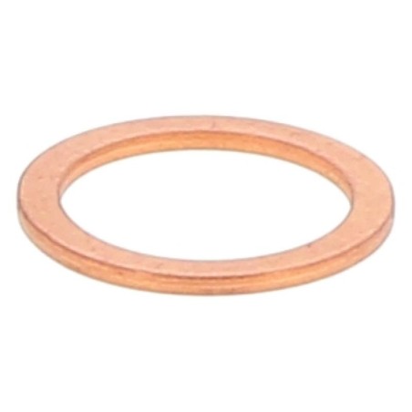 JC0243038018C GASKET | RICO Europe