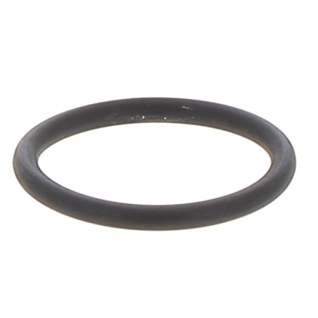 JR0310035V GASKET | RICO Europe