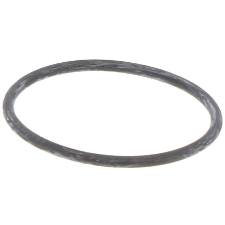JR042520262E GASKET | RICO Europe