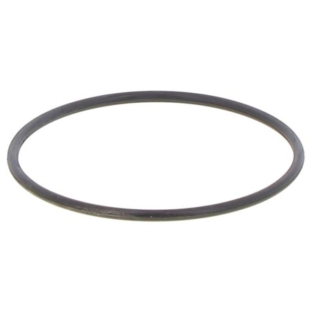 JR053500220B GASKET | RICO Europe
