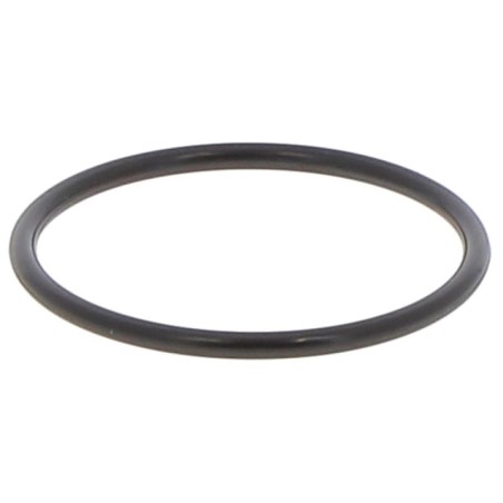 JR053570353V GASKET | RICO Europe