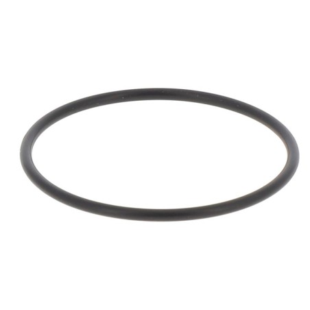 JR053640262B GASKET | RICO Europe