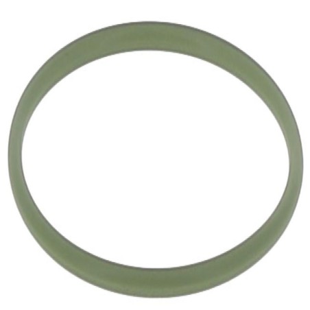 JR054000300V GASKET | RICO Europe