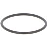 JR055000300B GASKET | RICO Europe