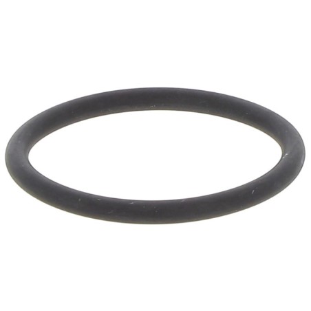 JR056000530V GASKET | RICO Europe