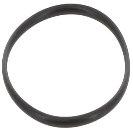 JR064000300B GASKET | RICO Europe