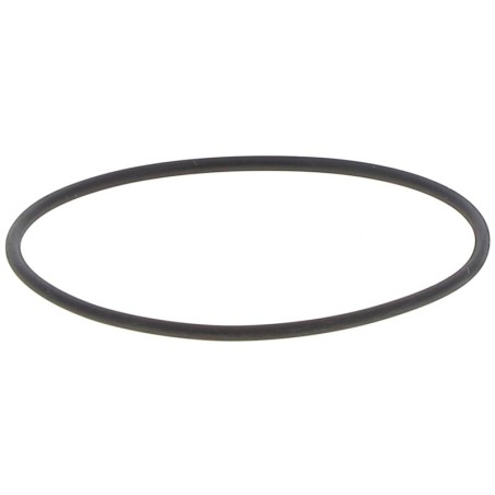 JR071120262E GASKET | RICO Europe