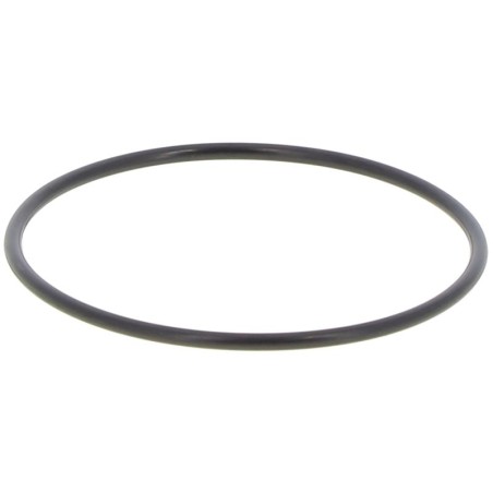 JR074530300B GASKET | RICO Europe