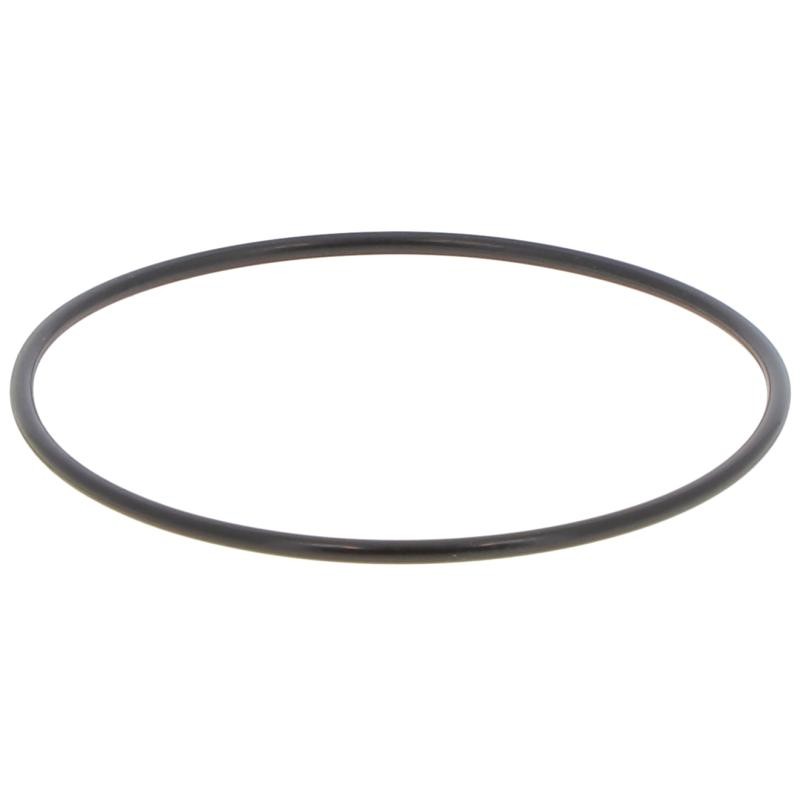 JR076000250B GASKET | RICO Europe