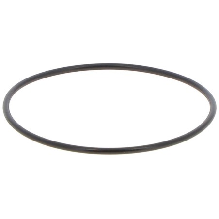JR076000250B GASKET | RICO Europe