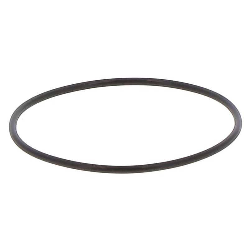 JR082000300V GASKET | RICO Europe