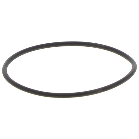 JR089000350V GASKET | RICO Europe