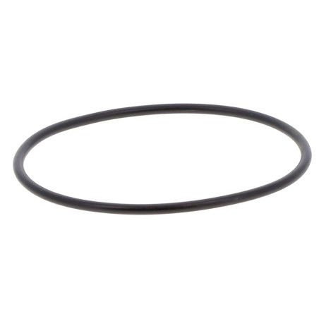 JR166700699B GASKET | RICO Europe