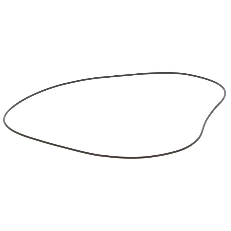 JR332000300V GASKET | RICO Europe
