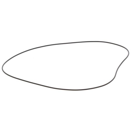 JR332000300V GASKET | RICO Europe