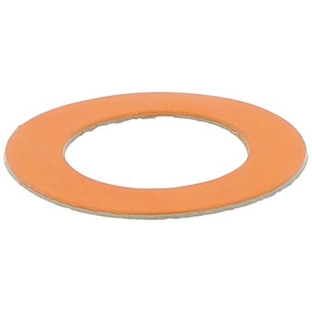 JS06915 GASKET | RICO Europe