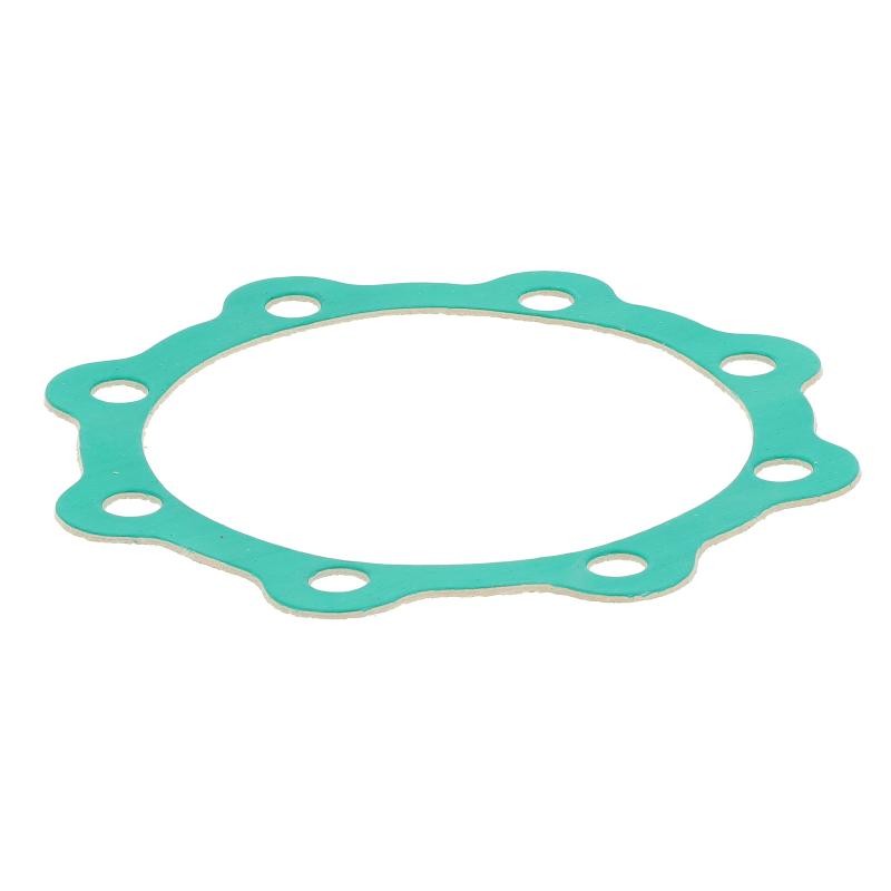 JS16247T GASKET | RICO Europe