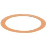 JS17017A GASKET | RICO Europe