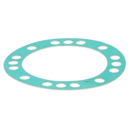 JS172038TA GASKET | RICO Europe