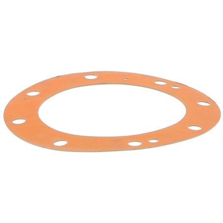 JS20532T GASKET | RICO Europe