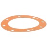JS20532T GASKET | RICO Europe