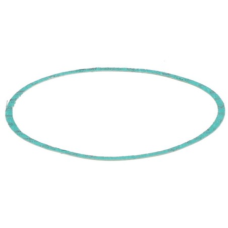 JS295018A GASKET | RICO Europe