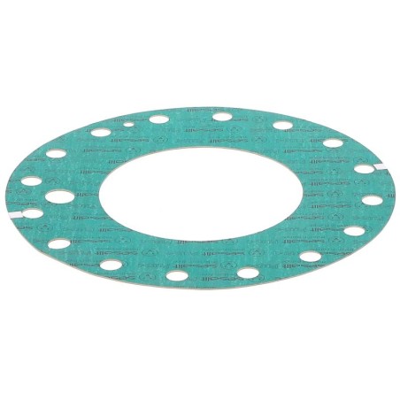 JS39895T GASKET | RICO Europe