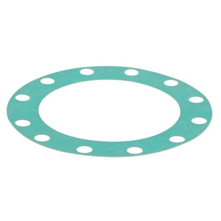 JS40663TA GASKET | RICO Europe