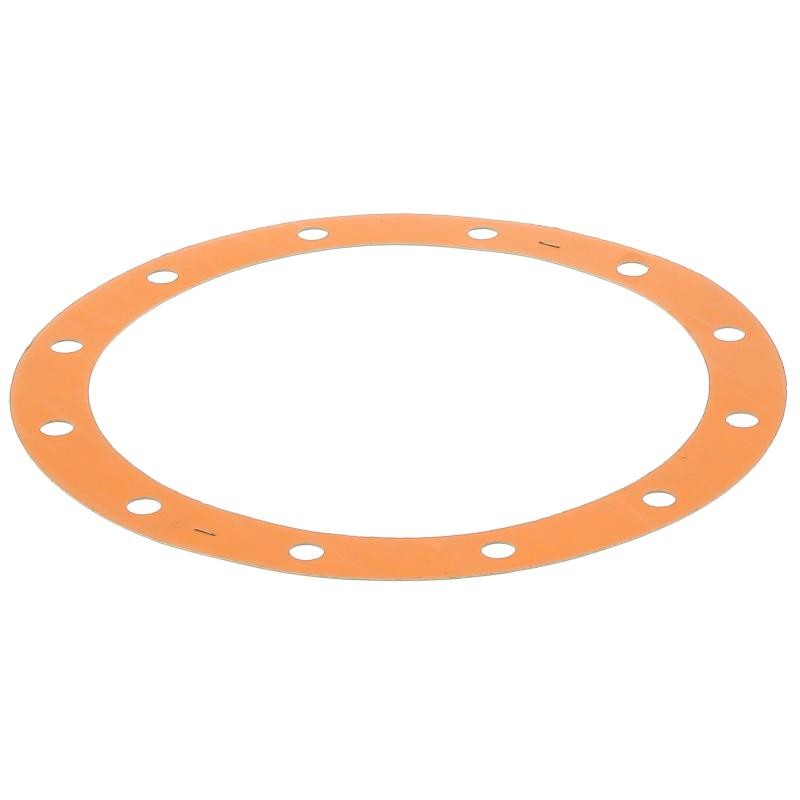 JS45045TA GASKET | RICO Europe