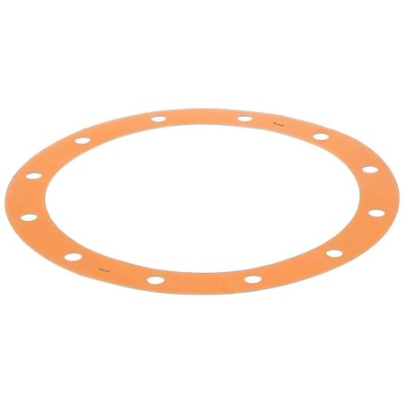 JS45045TA GASKET | RICO Europe