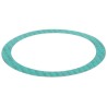 JS46040 GASKET | RICO Europe