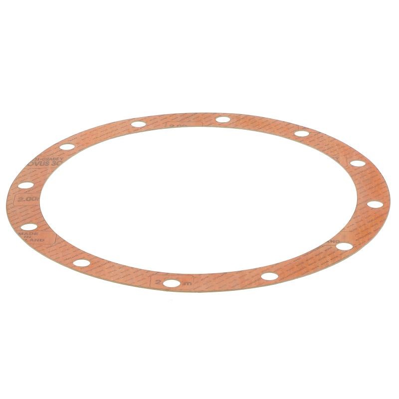 JS58550T GASKET | RICO Europe