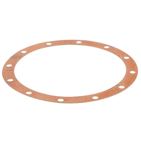 JS58550T GASKET | RICO Europe