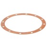 JS58550T GASKET | RICO Europe