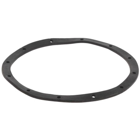 JSP1008 GASKET | RICO Europe